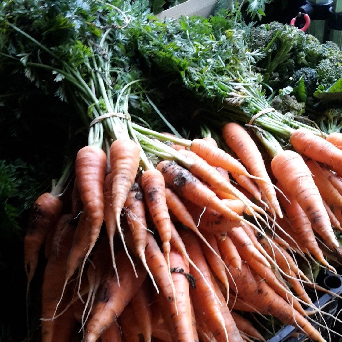 Veg box
