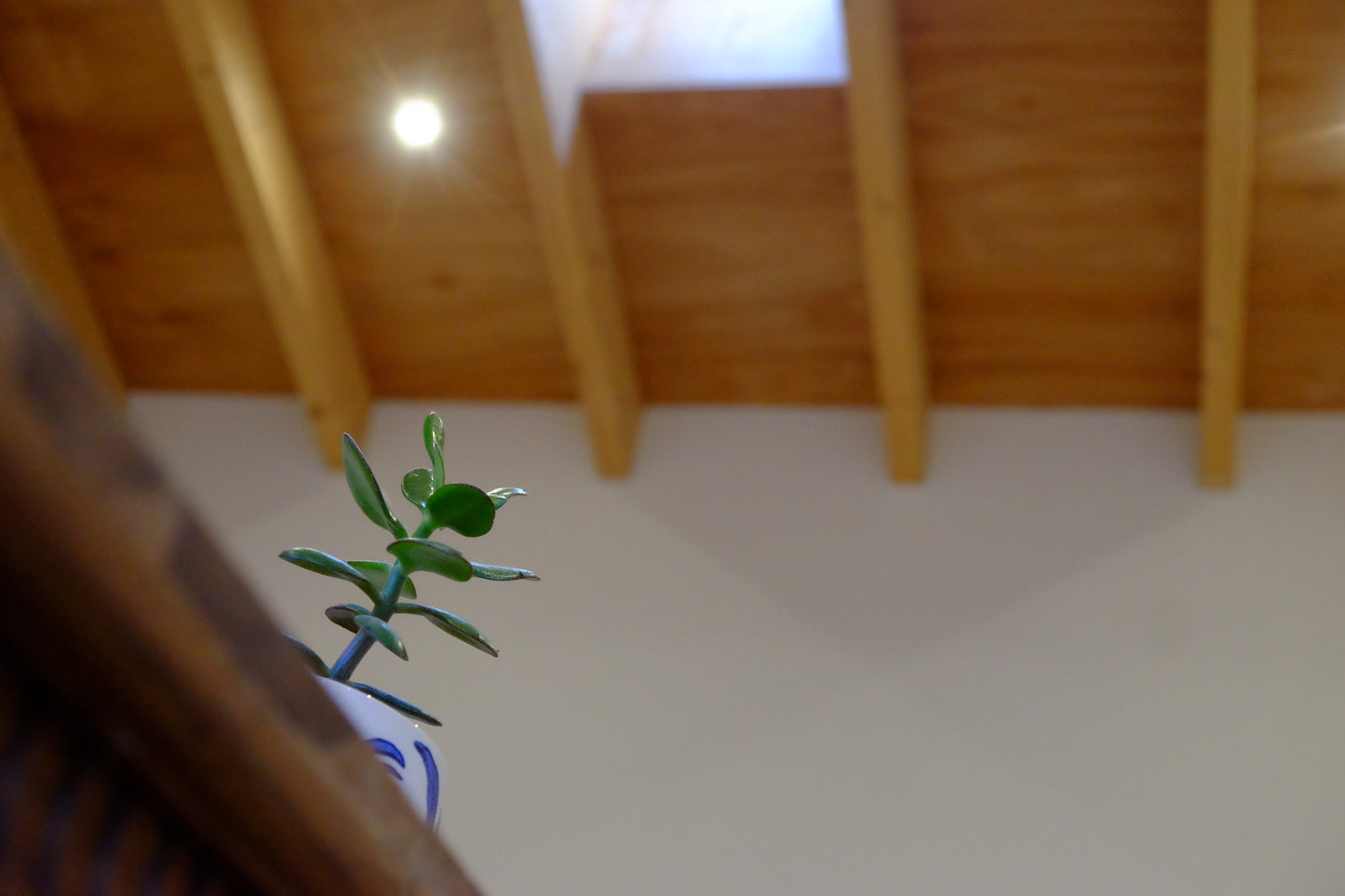 Motley - Pig Shed Cottage 1