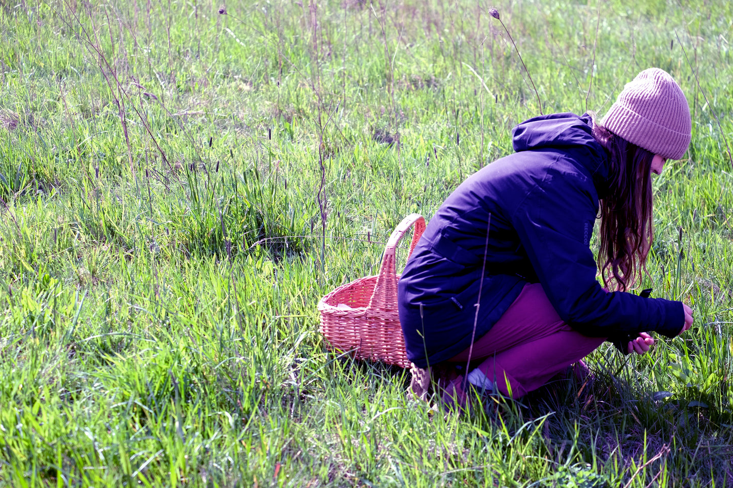 Foraging & Fermenting
