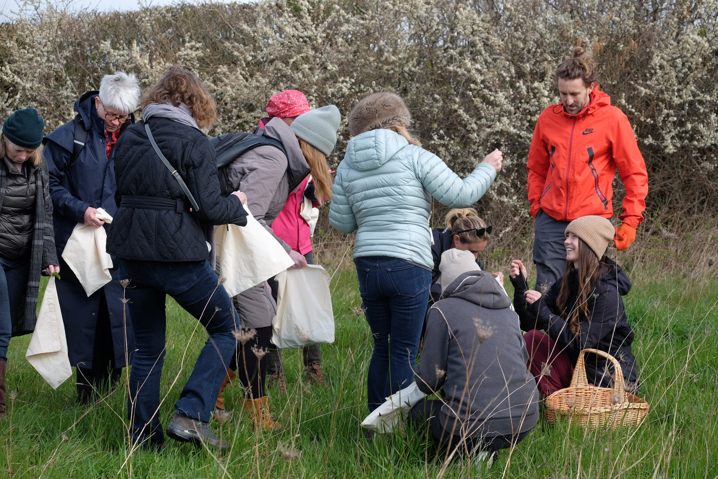 Foraging & Fermenting