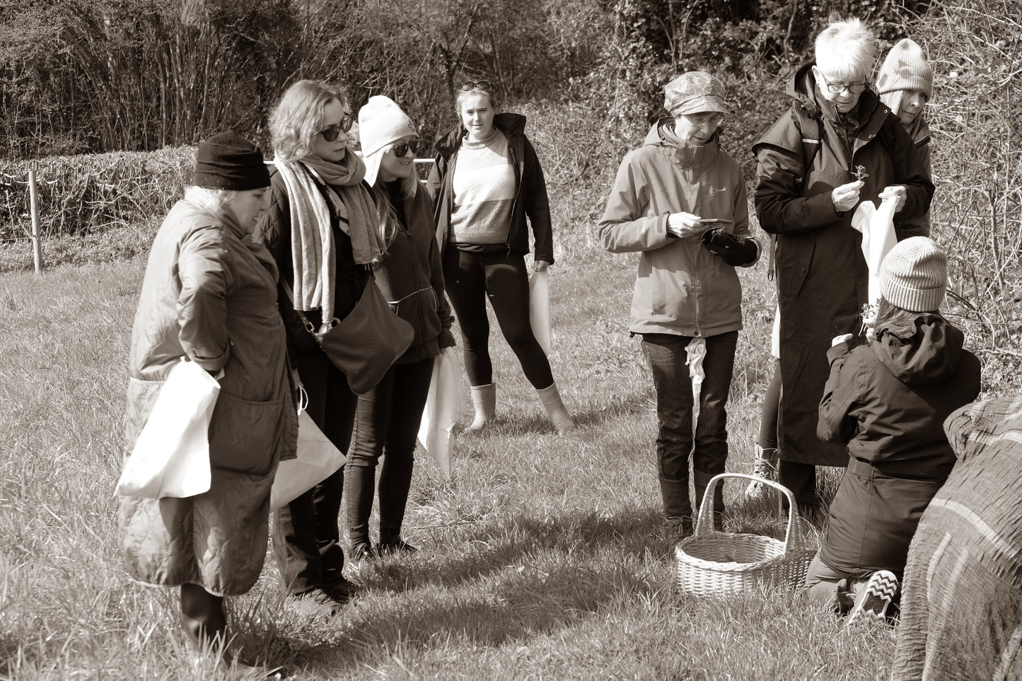 Foraging & Fermenting