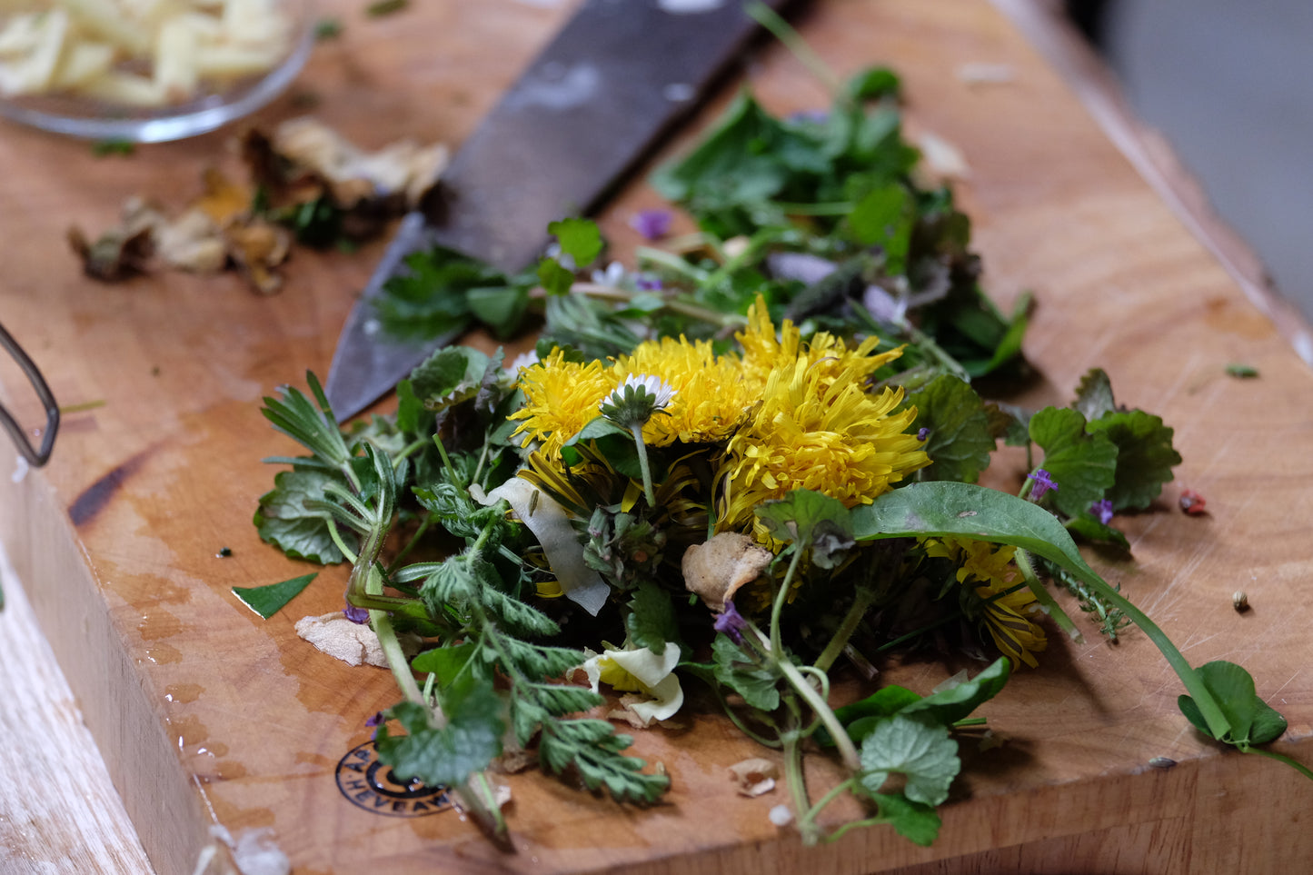 Foraging & Fermenting