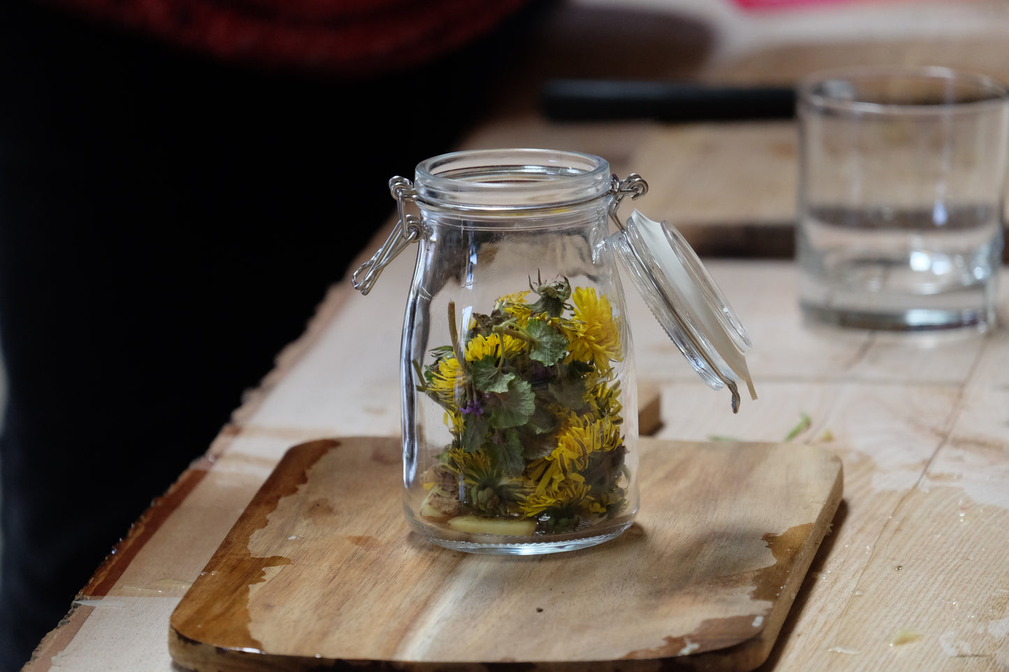 Foraging & Fermenting