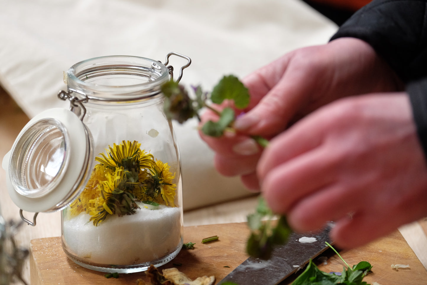 Foraging & Fermenting
