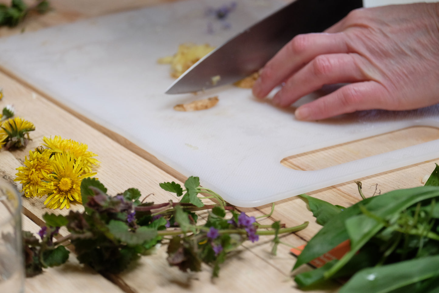 Foraging & Fermenting