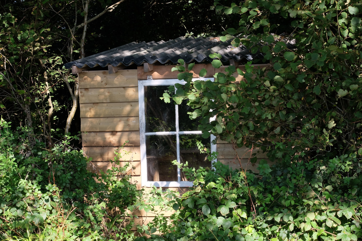 Woodland Yurt