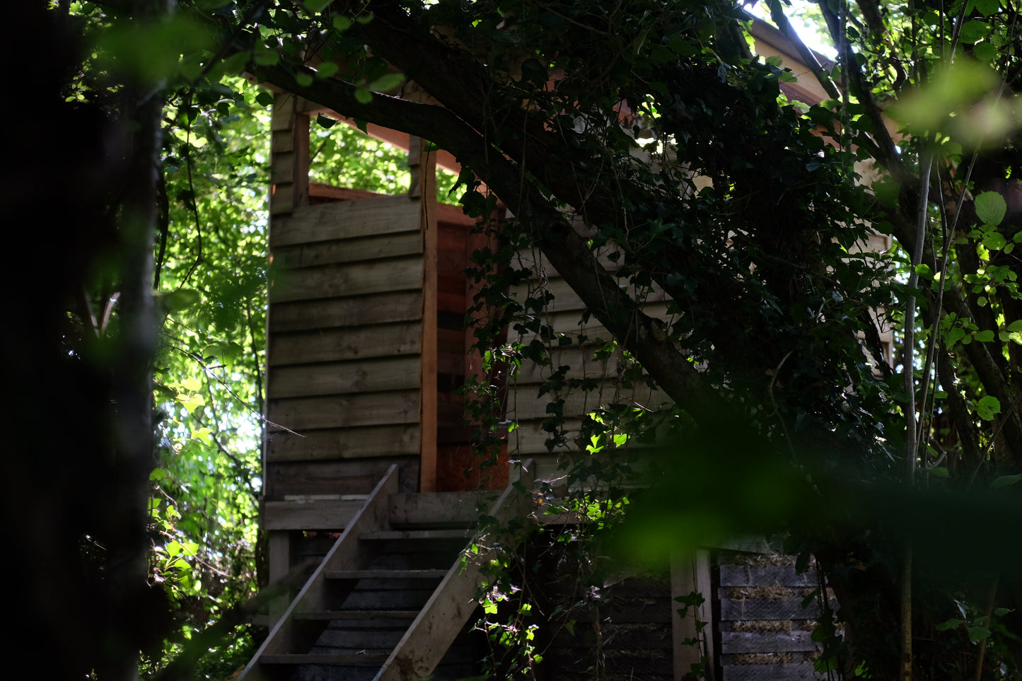 Woodland Yurt