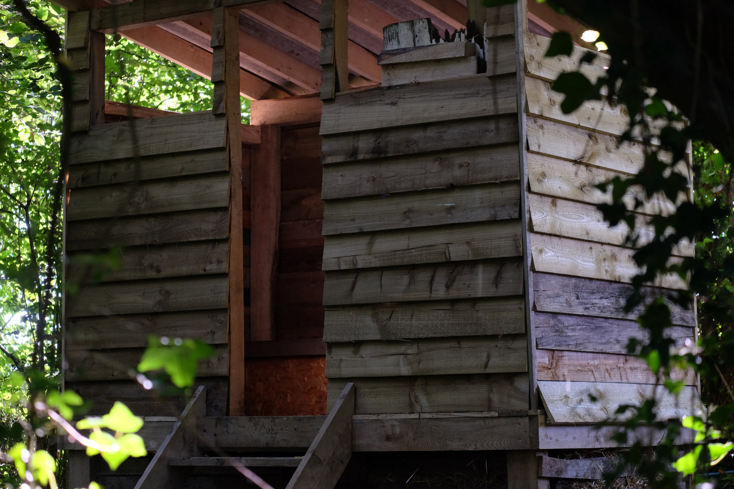 Woodland Yurt
