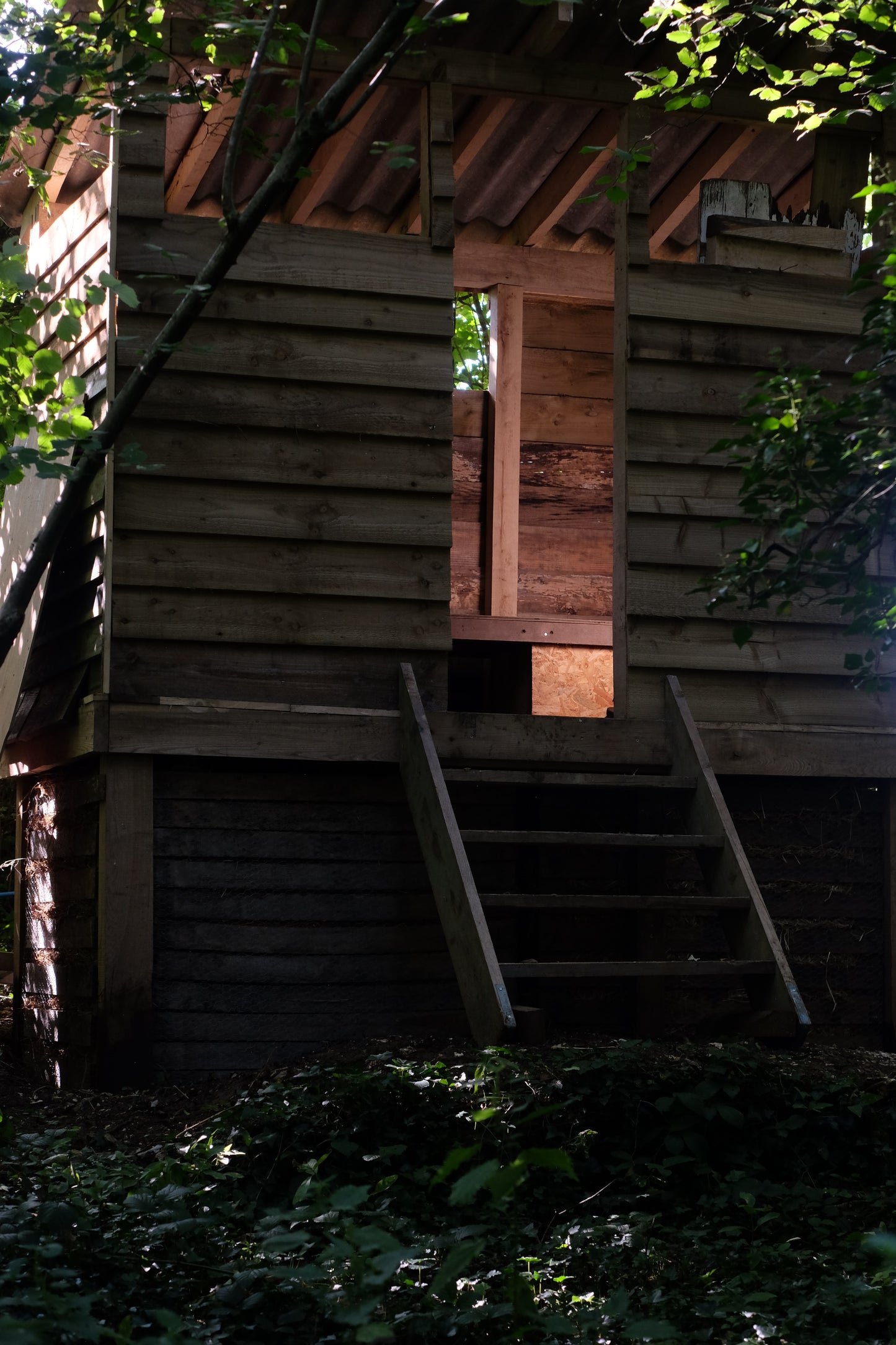 Woodland Yurt