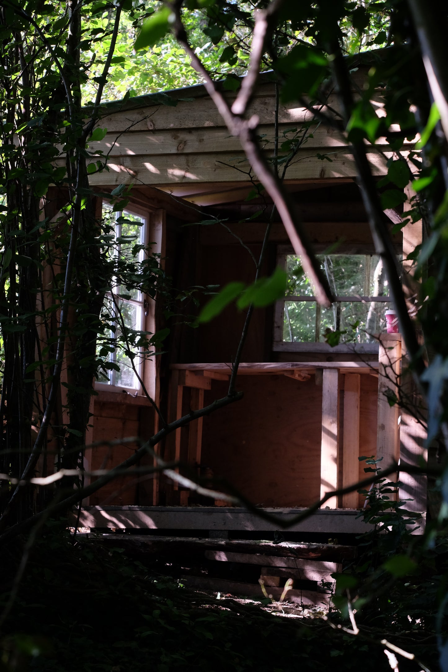 Woodland Yurt