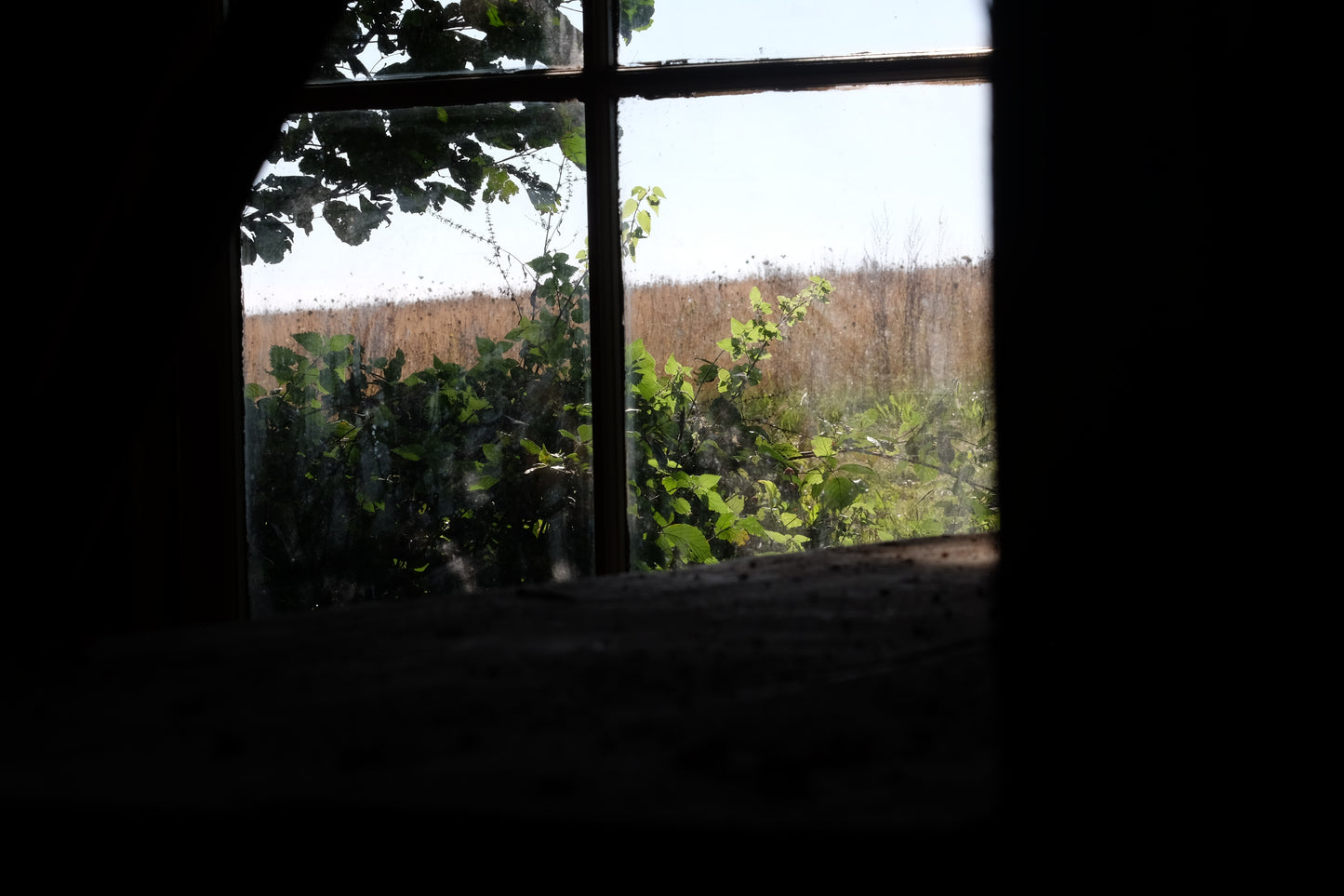 Woodland Yurt
