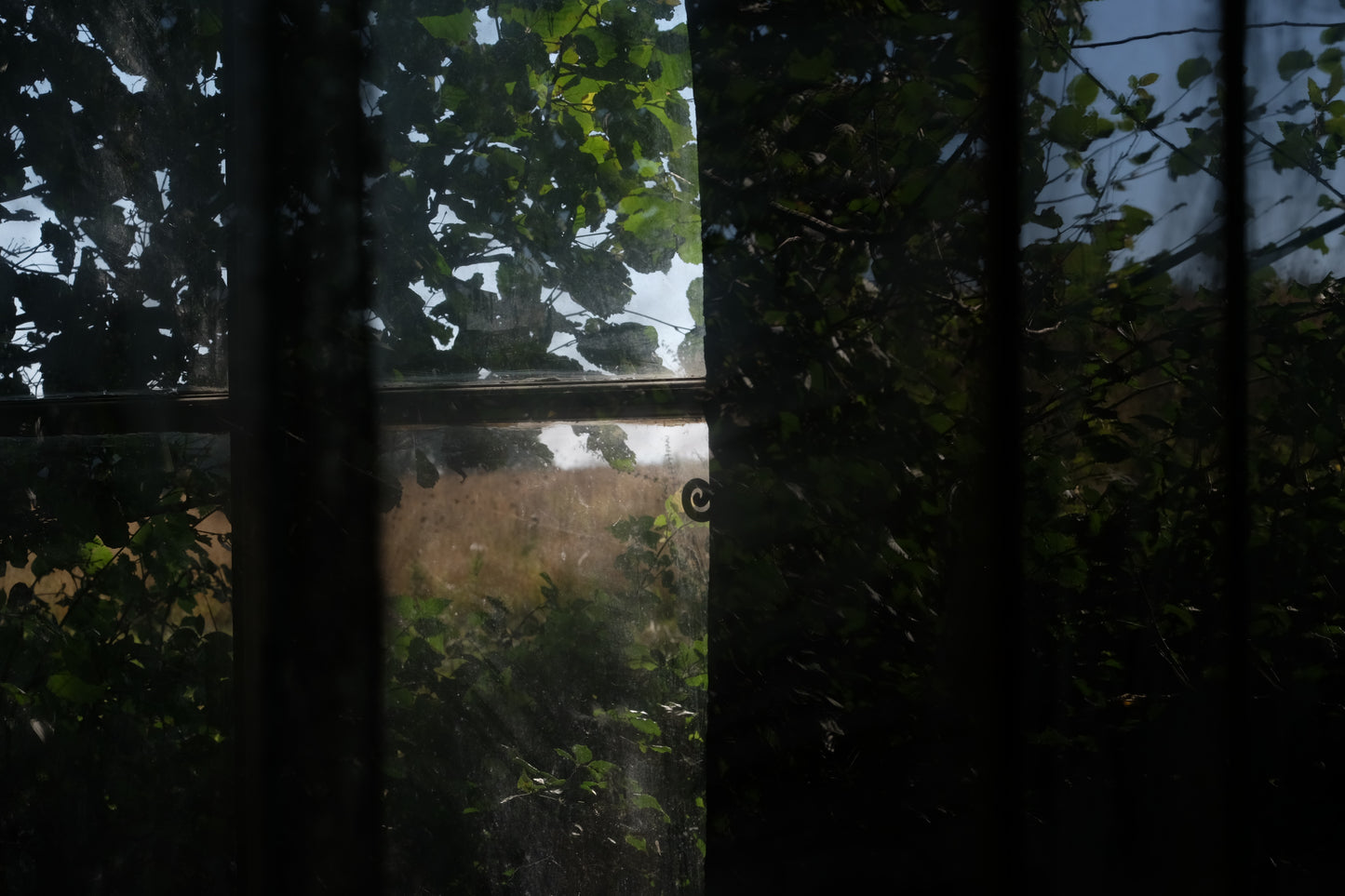 Woodland Yurt