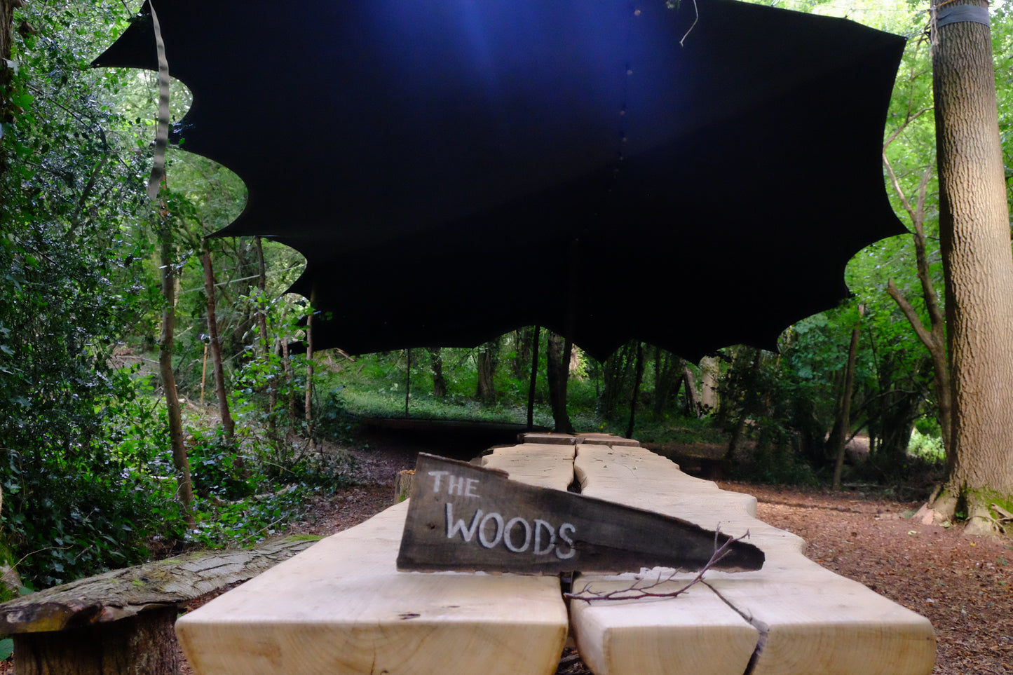 'The Woods' Hire
