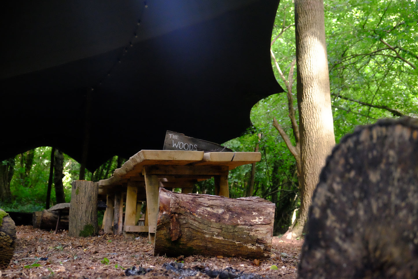 'The Woods' Hire