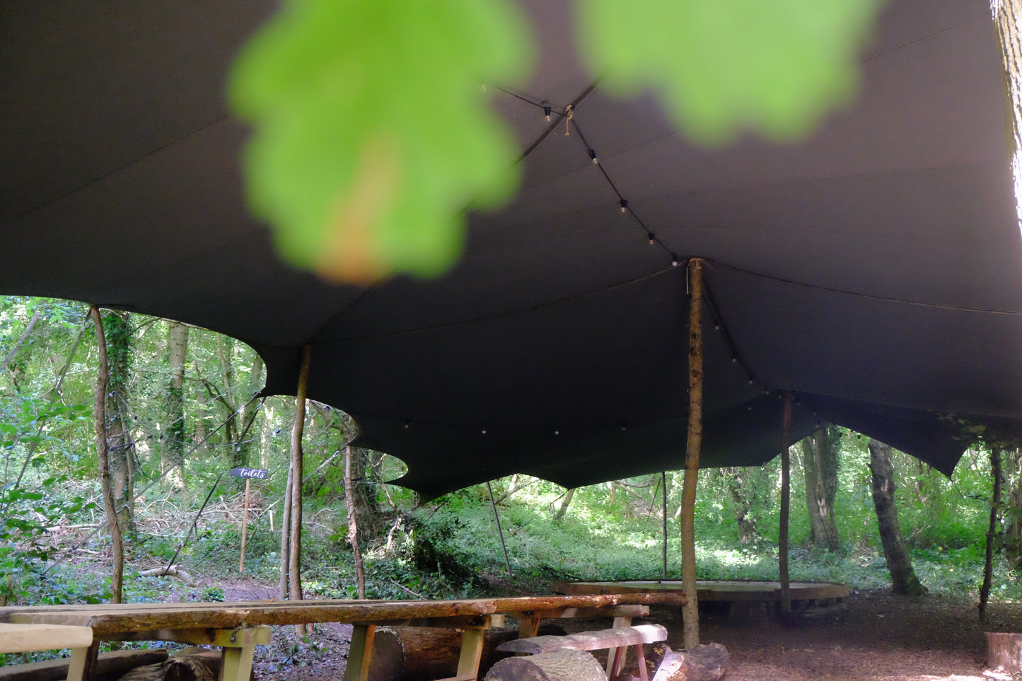 'The Woods' Hire