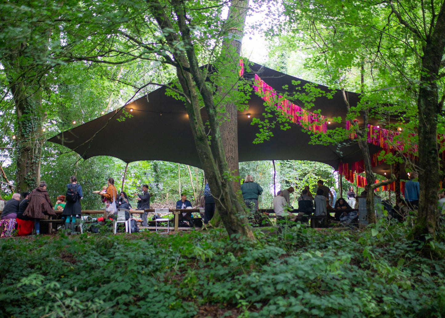 'The Woods' Hire