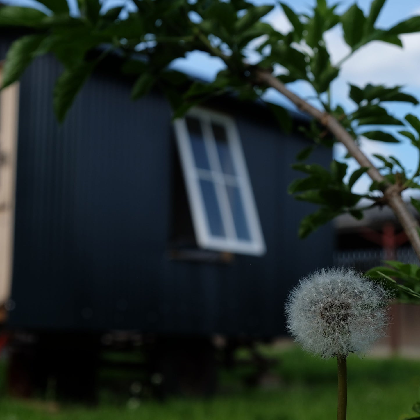 Shepherd's Hut