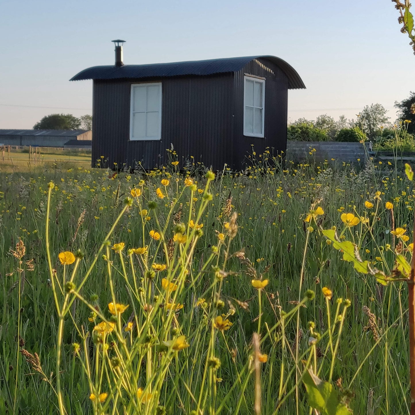 Shepherd's Hut