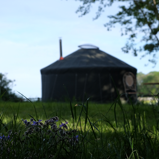 Farmyard Yurt