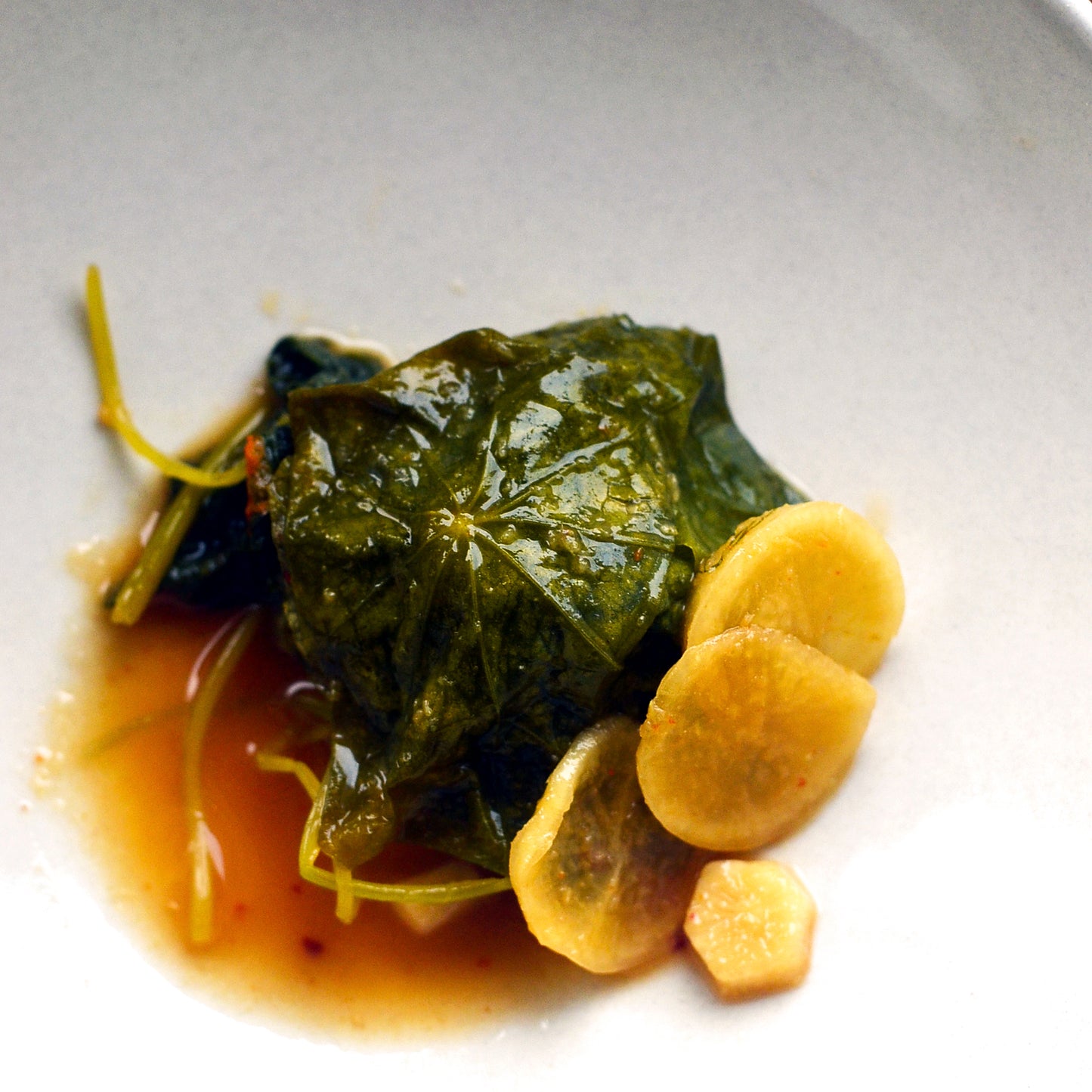 Foraging & Fermenting