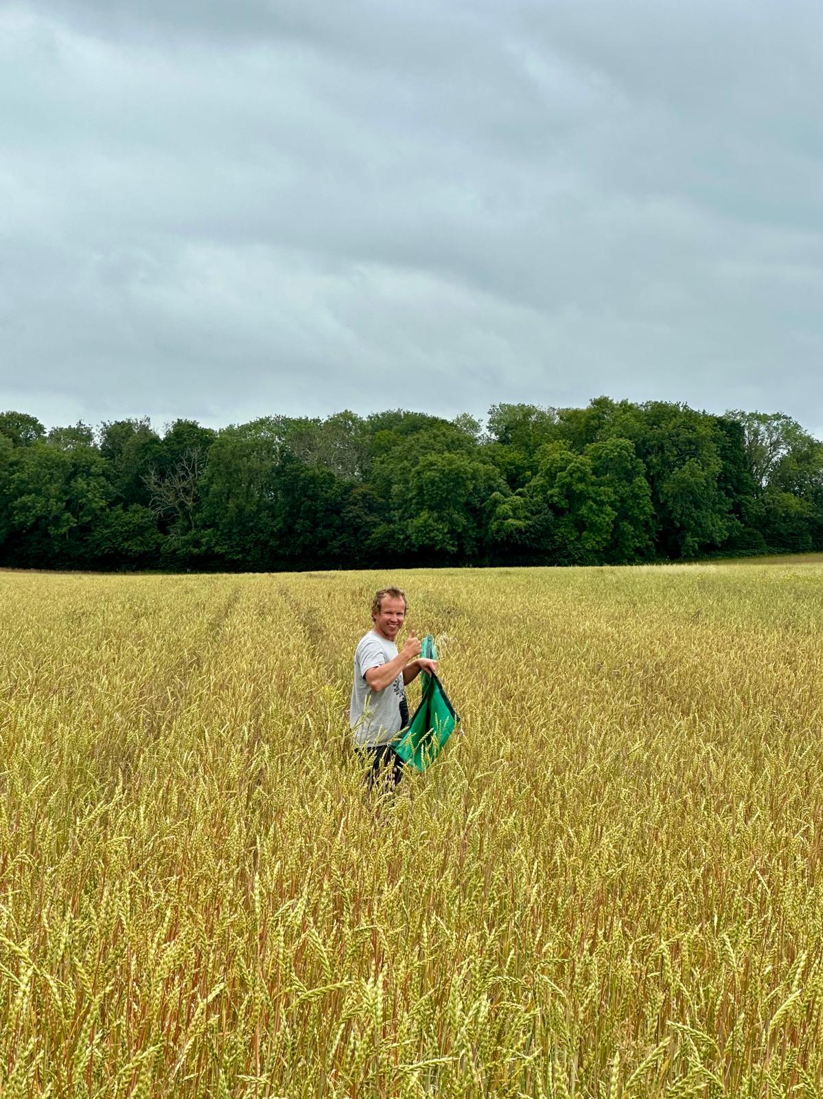 Is organic farming more viable than we think?