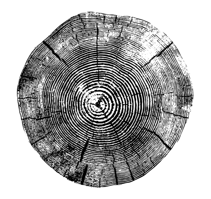 Bucket / Bag of Logs