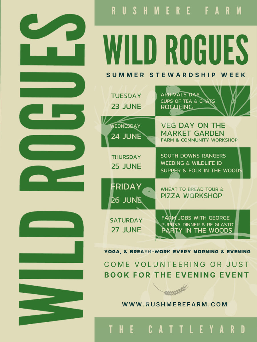 Wild Rogues
