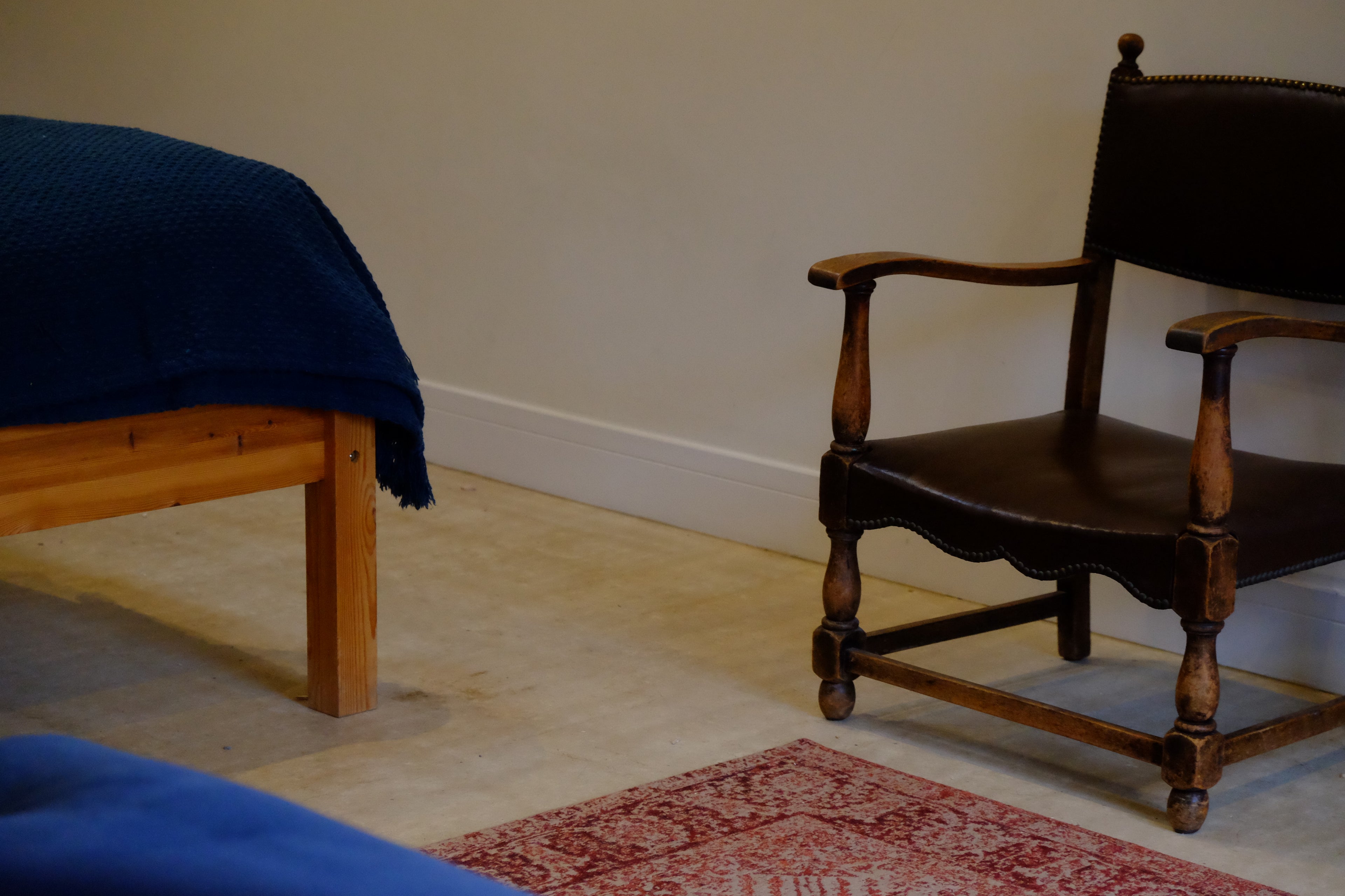 Curly - Pig Shed Cottage 3