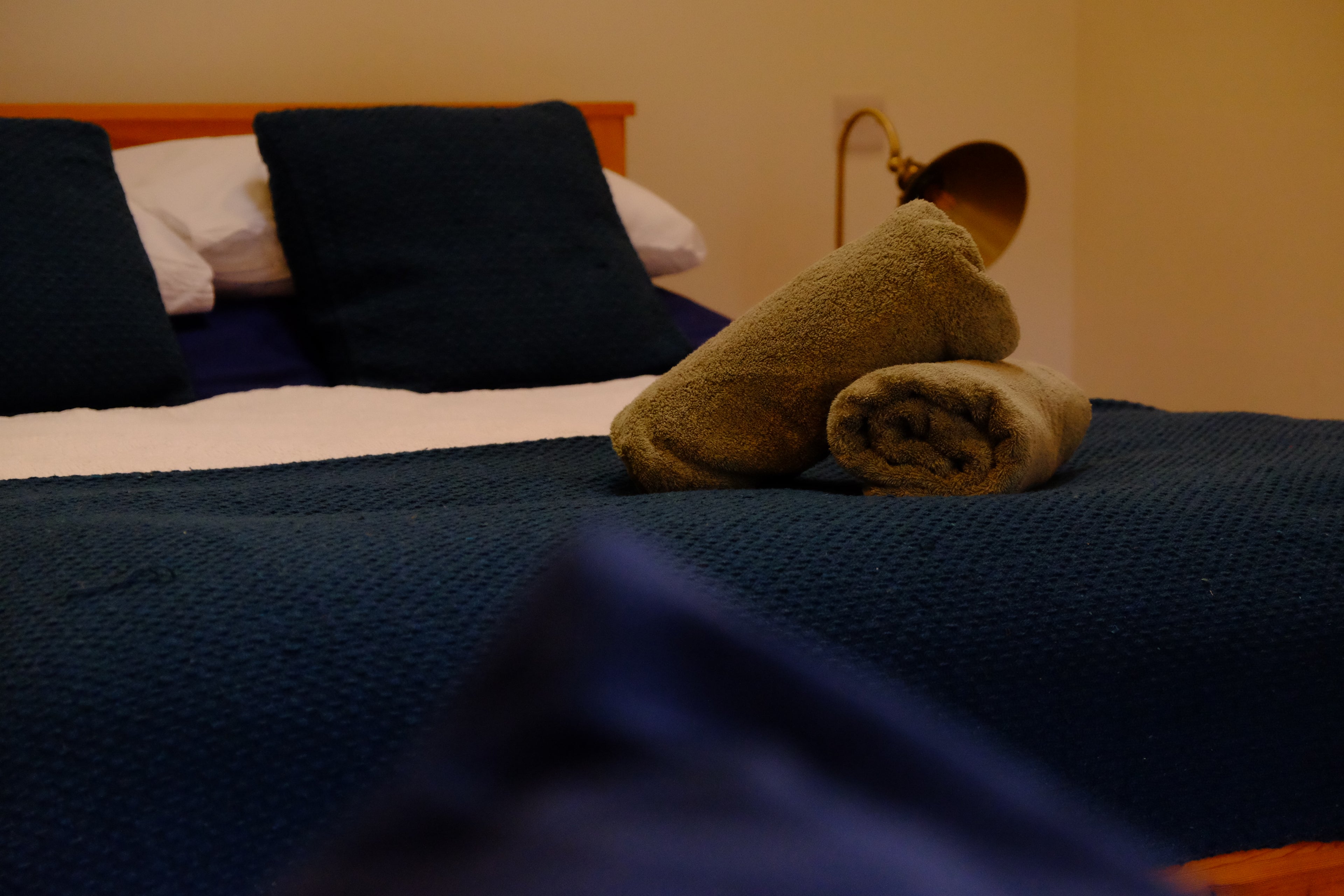 Curly - Pig Shed Cottage 3