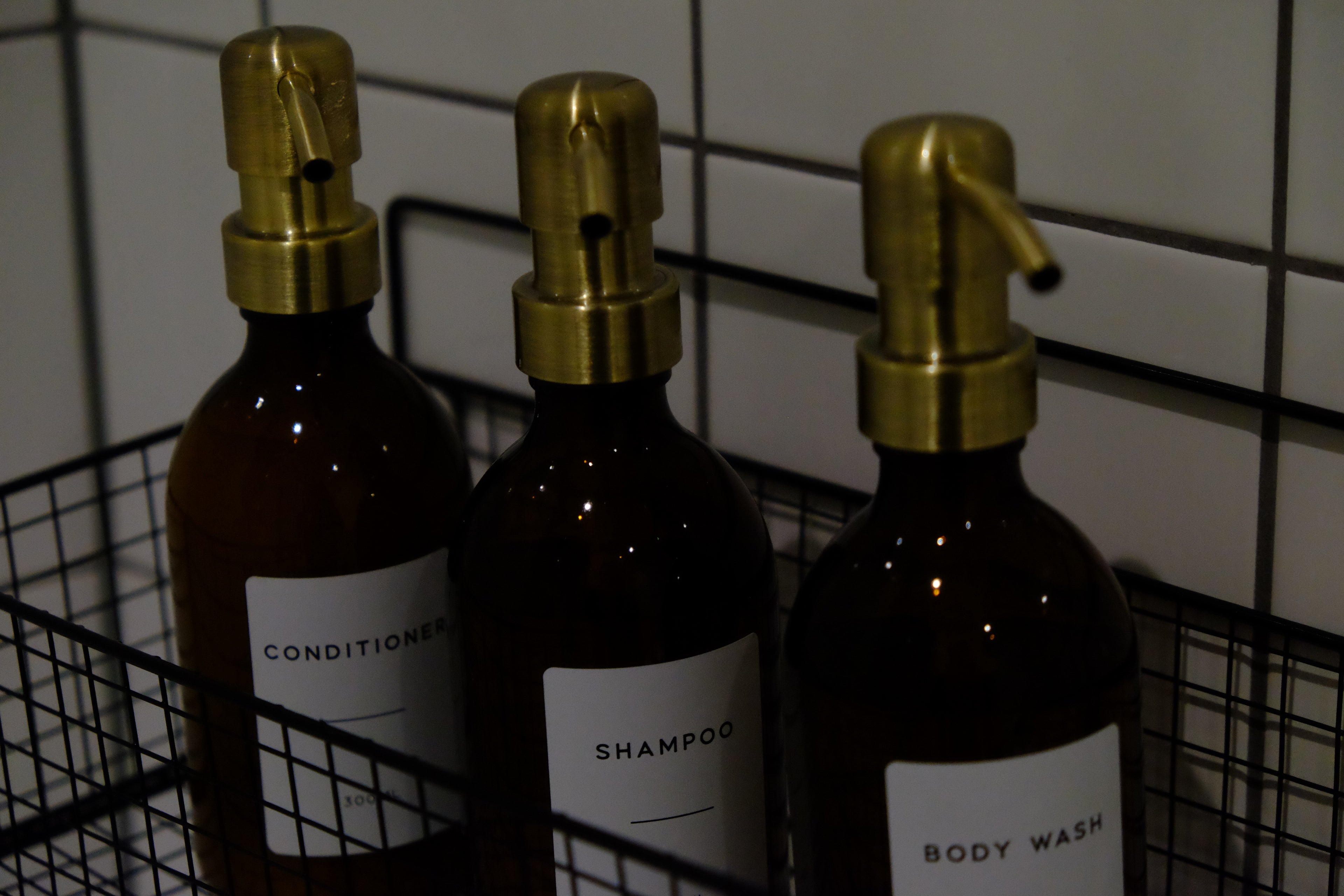 Curly - Pig Shed Cottage 3