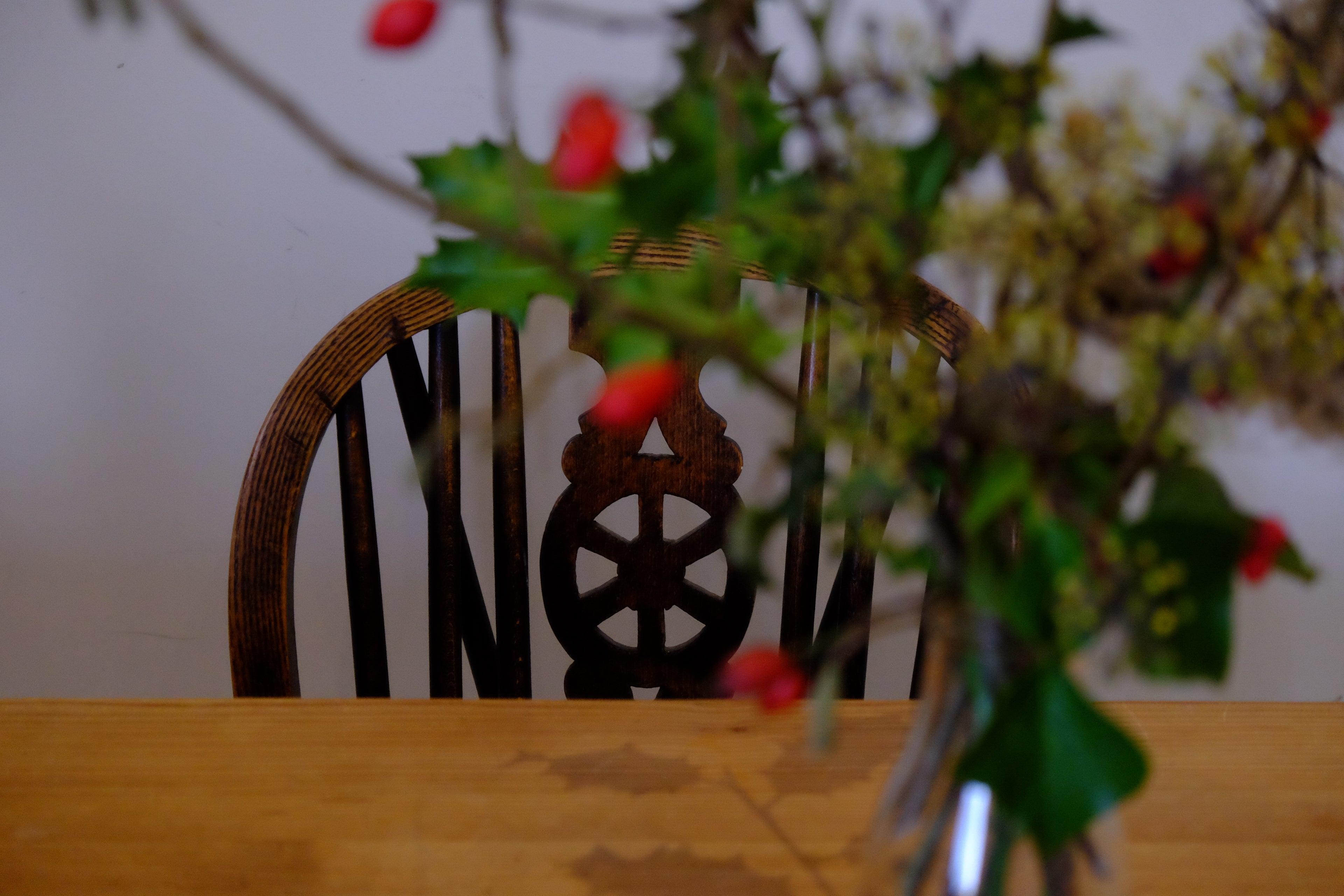 Curly - Pig Shed Cottage 3