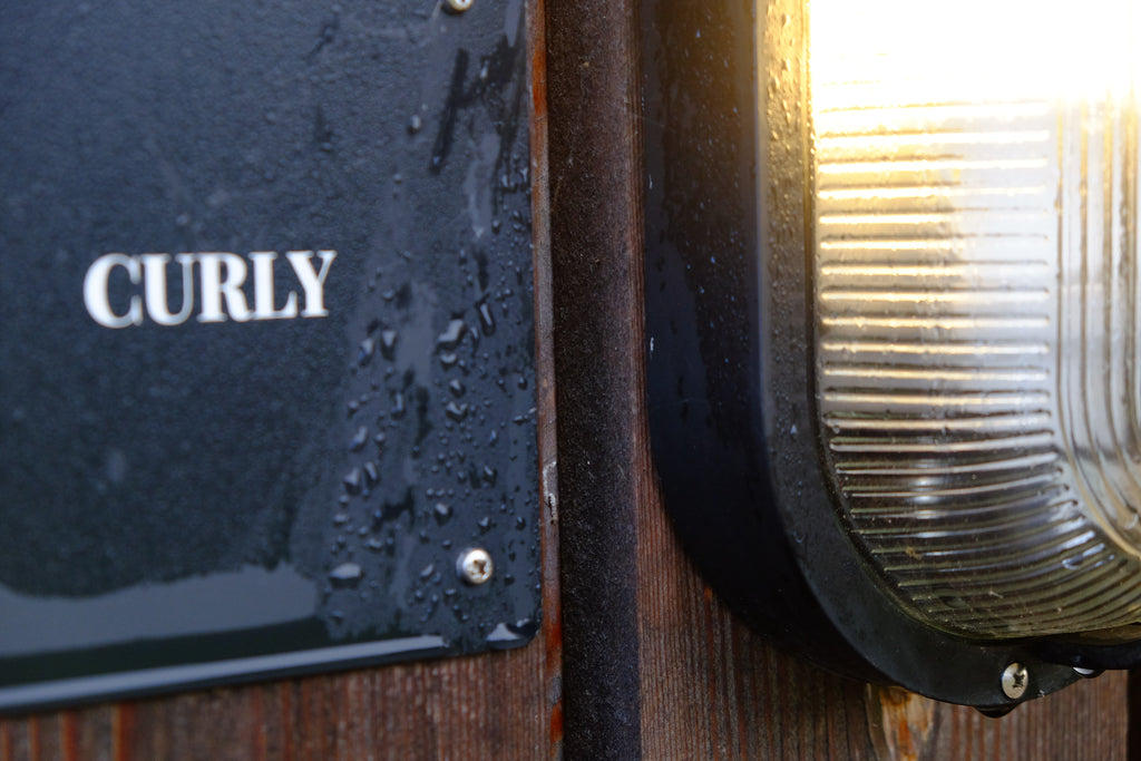 Curly - Pig Shed Cottage 3