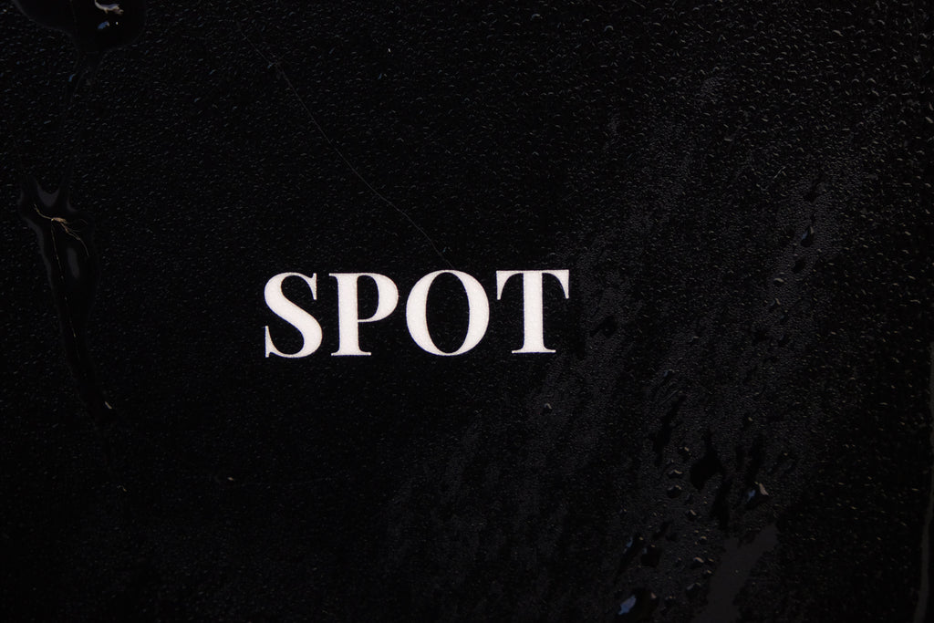 Spot - Pig Shed Cottage 2