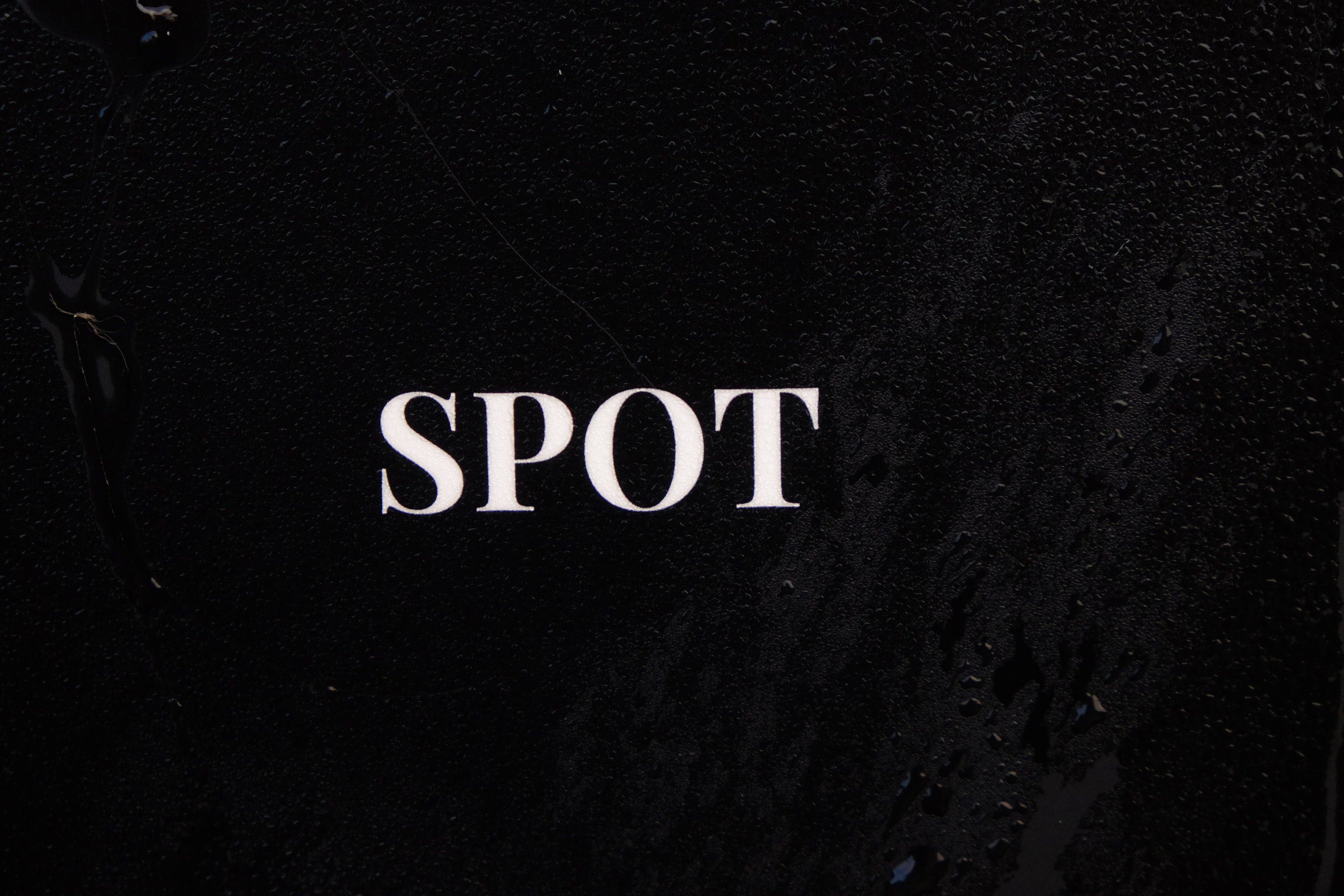 Spot - Pig Shed Cottage 2