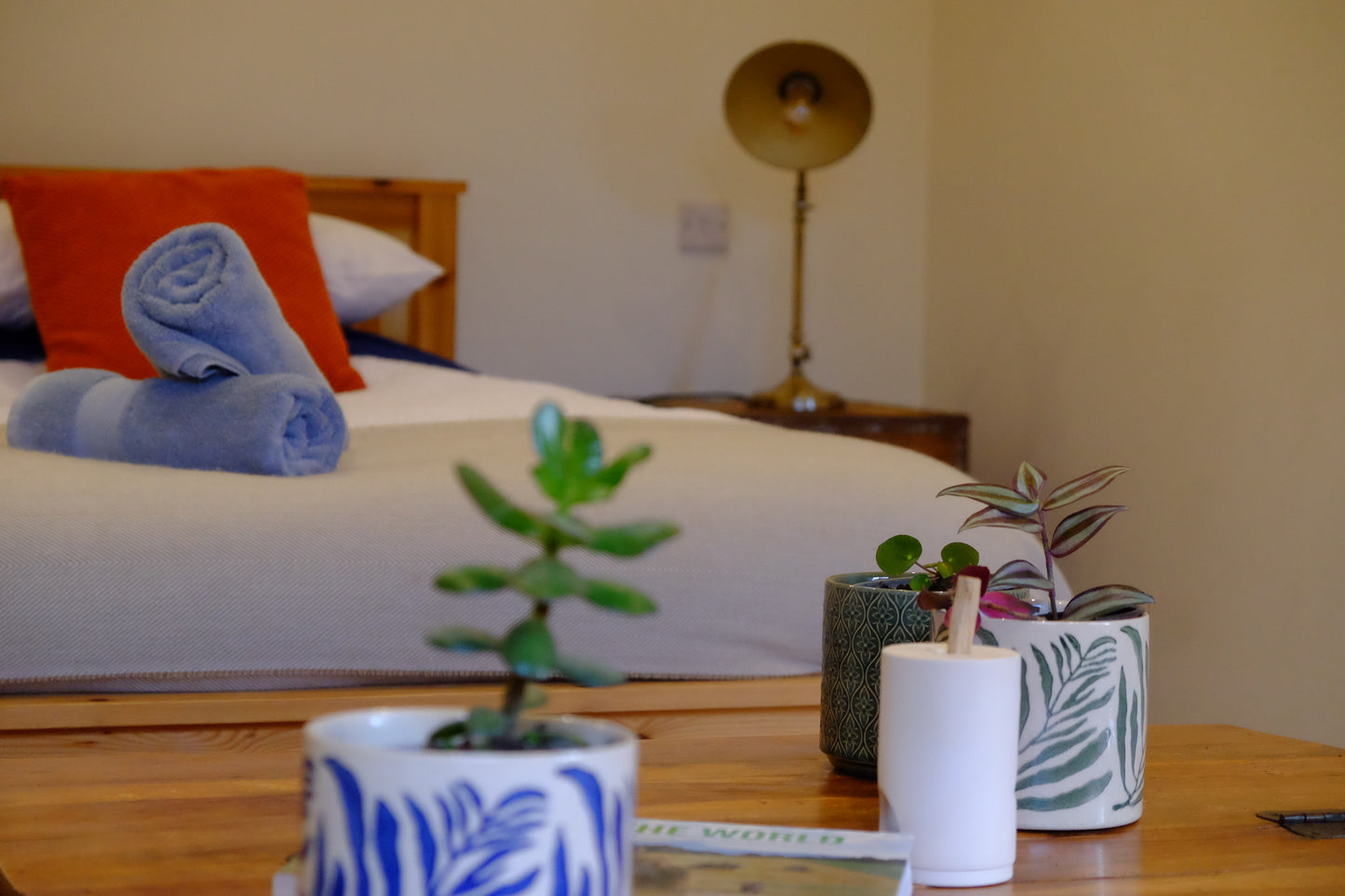 Motley - Pig Shed Cottage 1