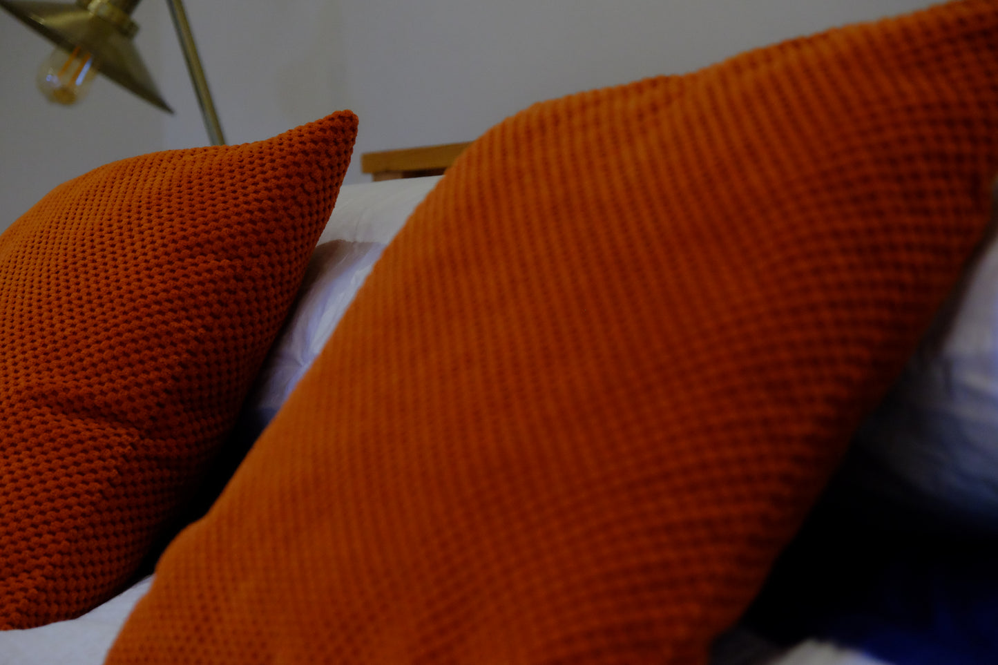 Motley - Pig Shed Cottage 1