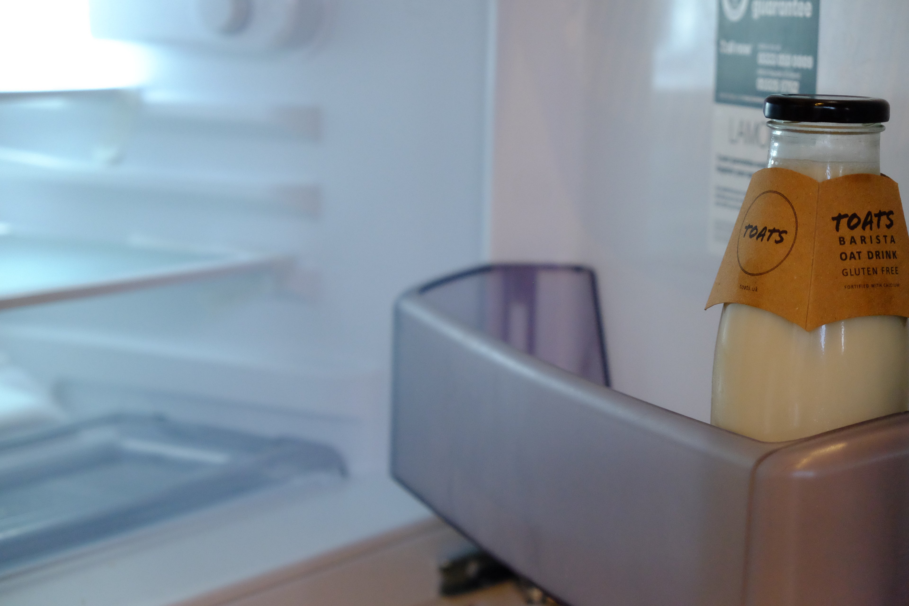 Curly - Pig Shed Cottage 3