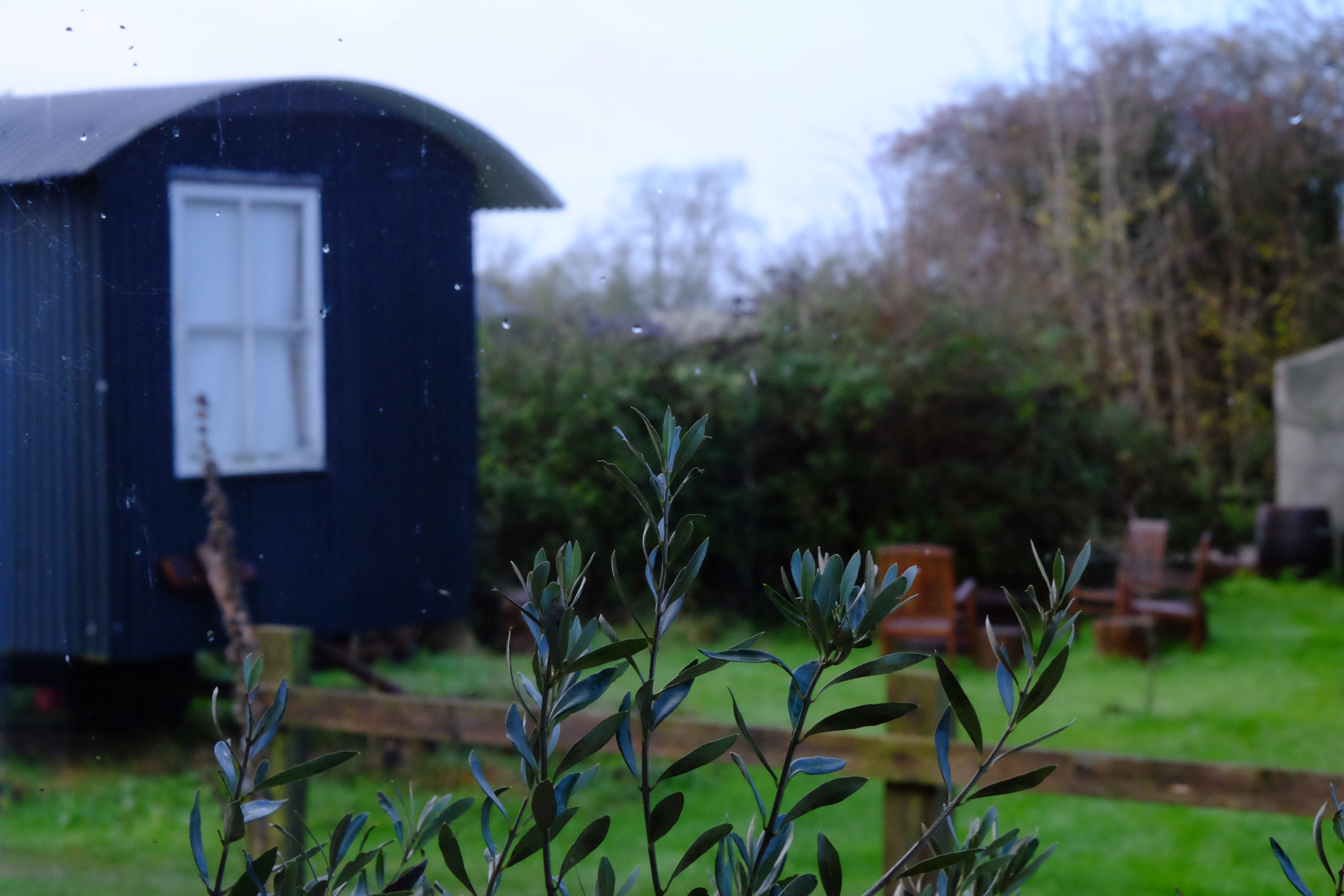 Spot - Pig Shed Cottage 2