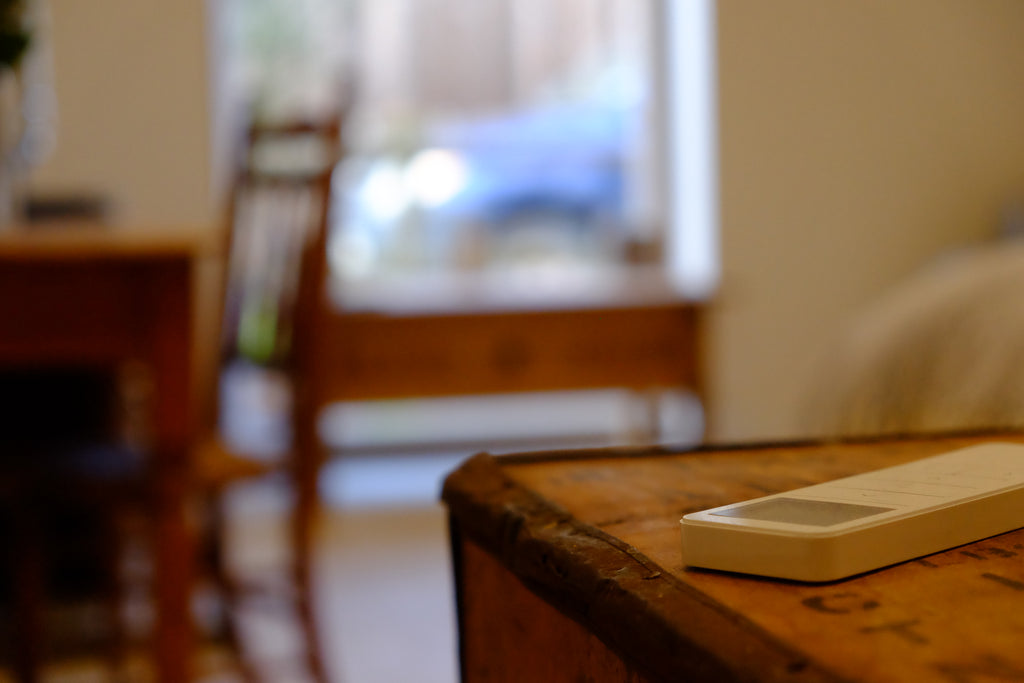 Spot - Pig Shed Cottage 2