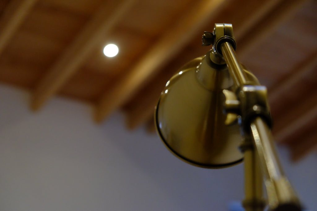 Spot - Pig Shed Cottage 2