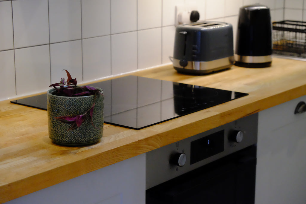 Spot - Pig Shed Cottage 2