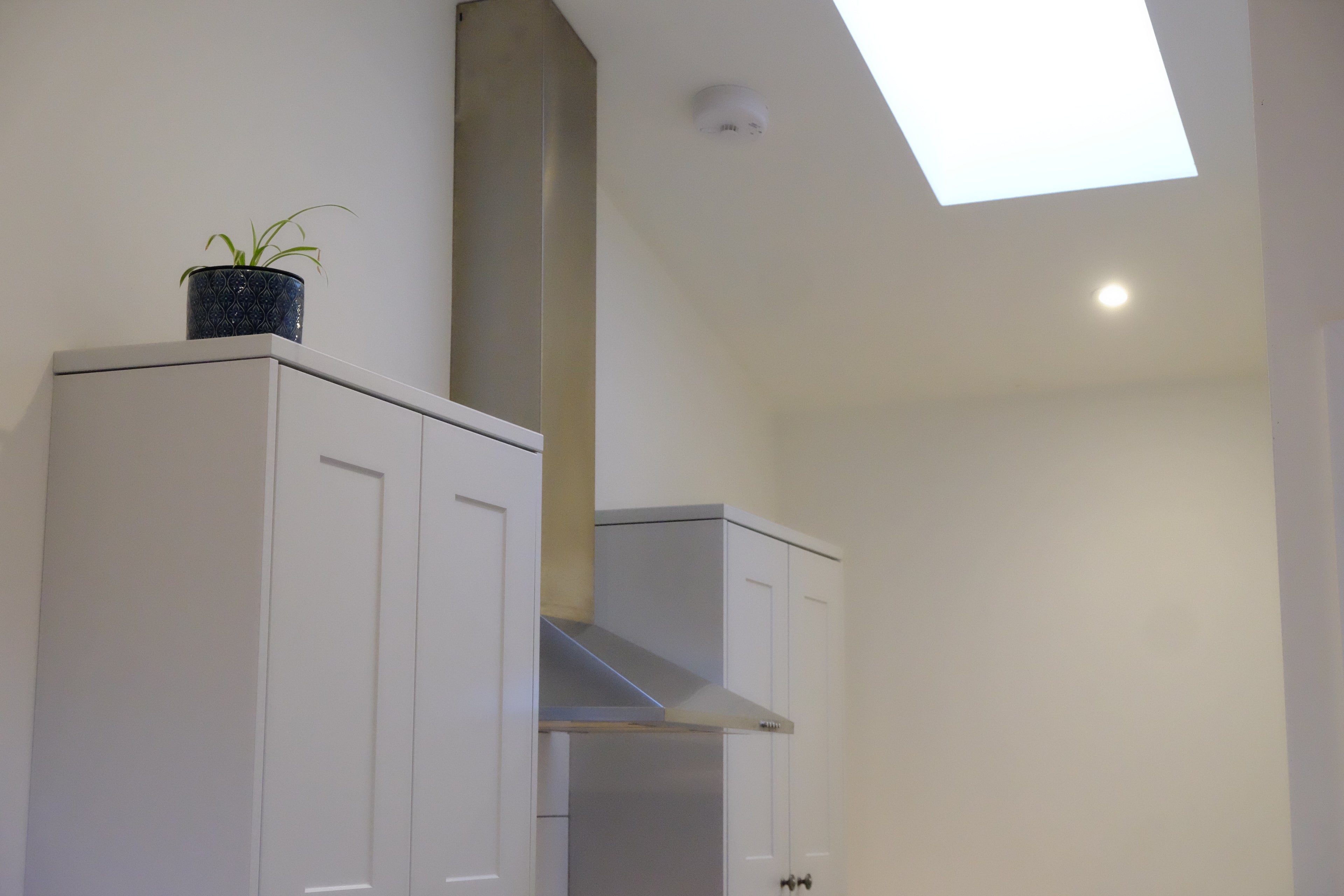 Spot - Pig Shed Cottage 2