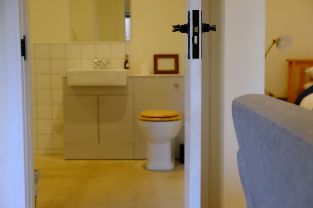 Spot - Pig Shed Cottage 2