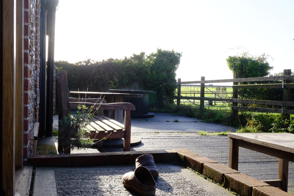 Curly - Pig Shed Cottage 3