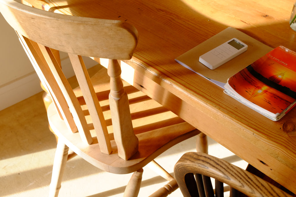 Curly - Pig Shed Cottage 3