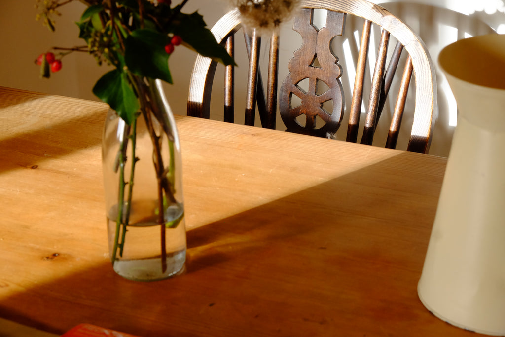 Curly - Pig Shed Cottage 3