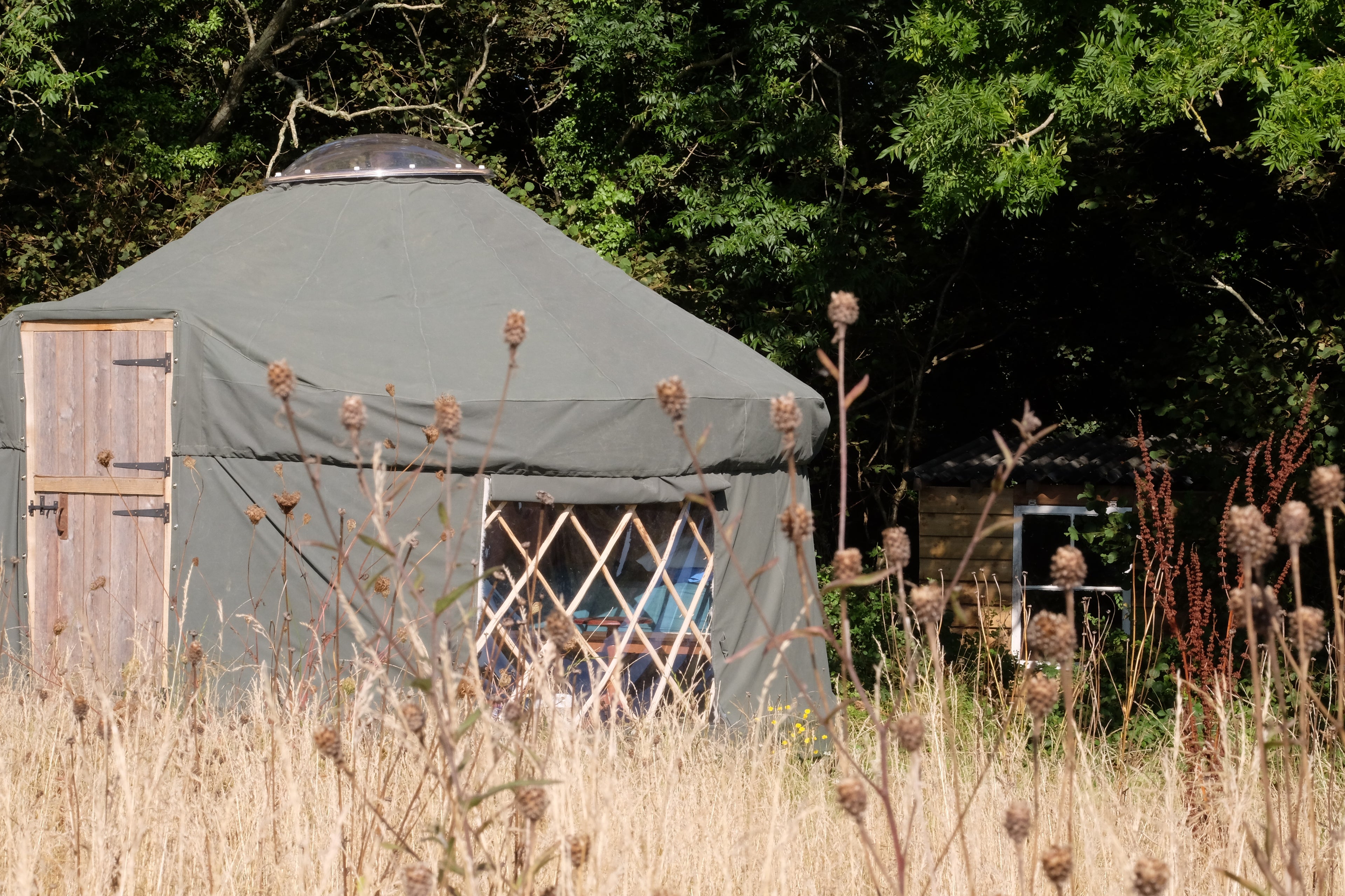 Woodland Yurt