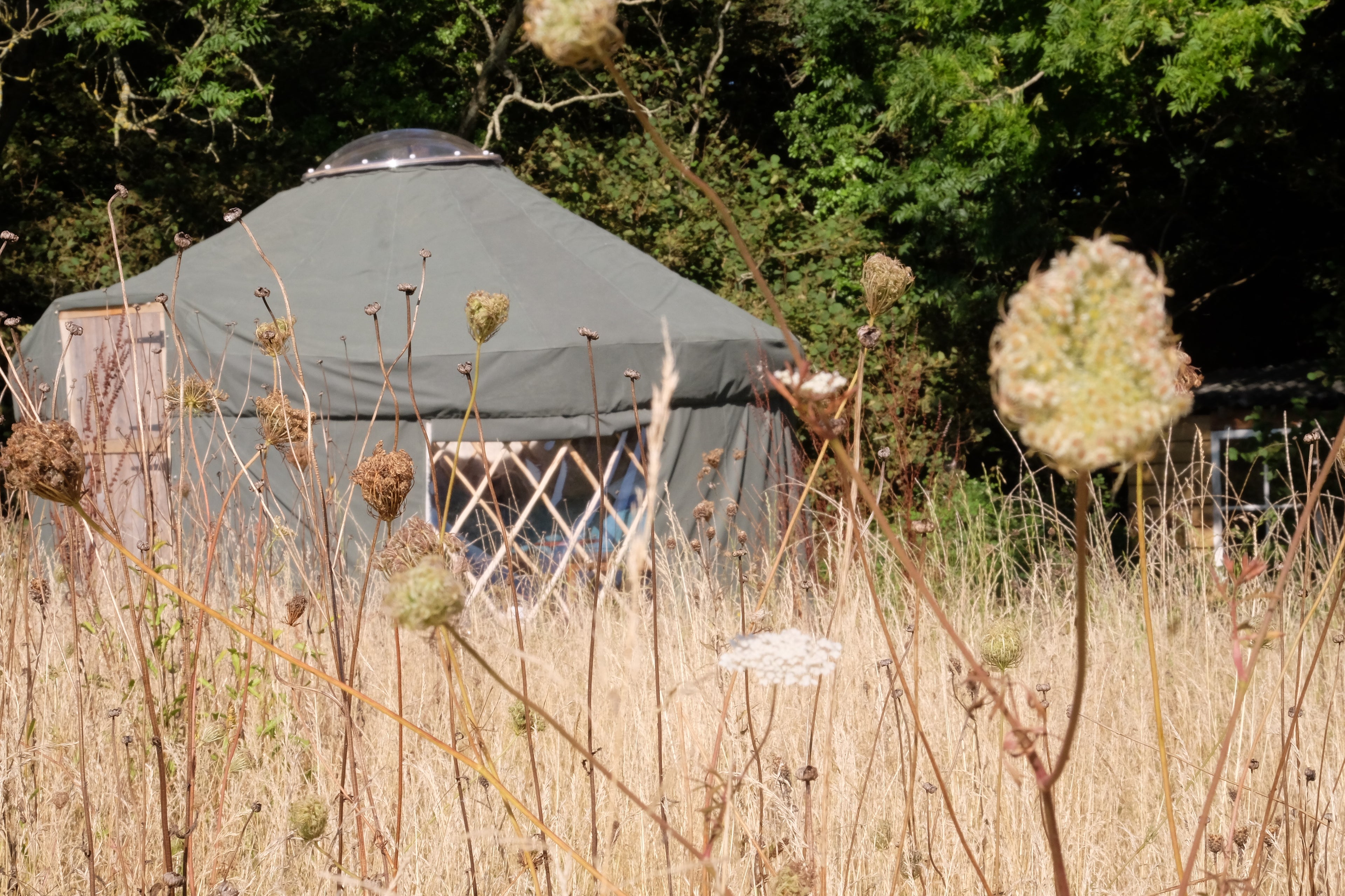 Woodland Yurt