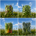 Bag of Greens