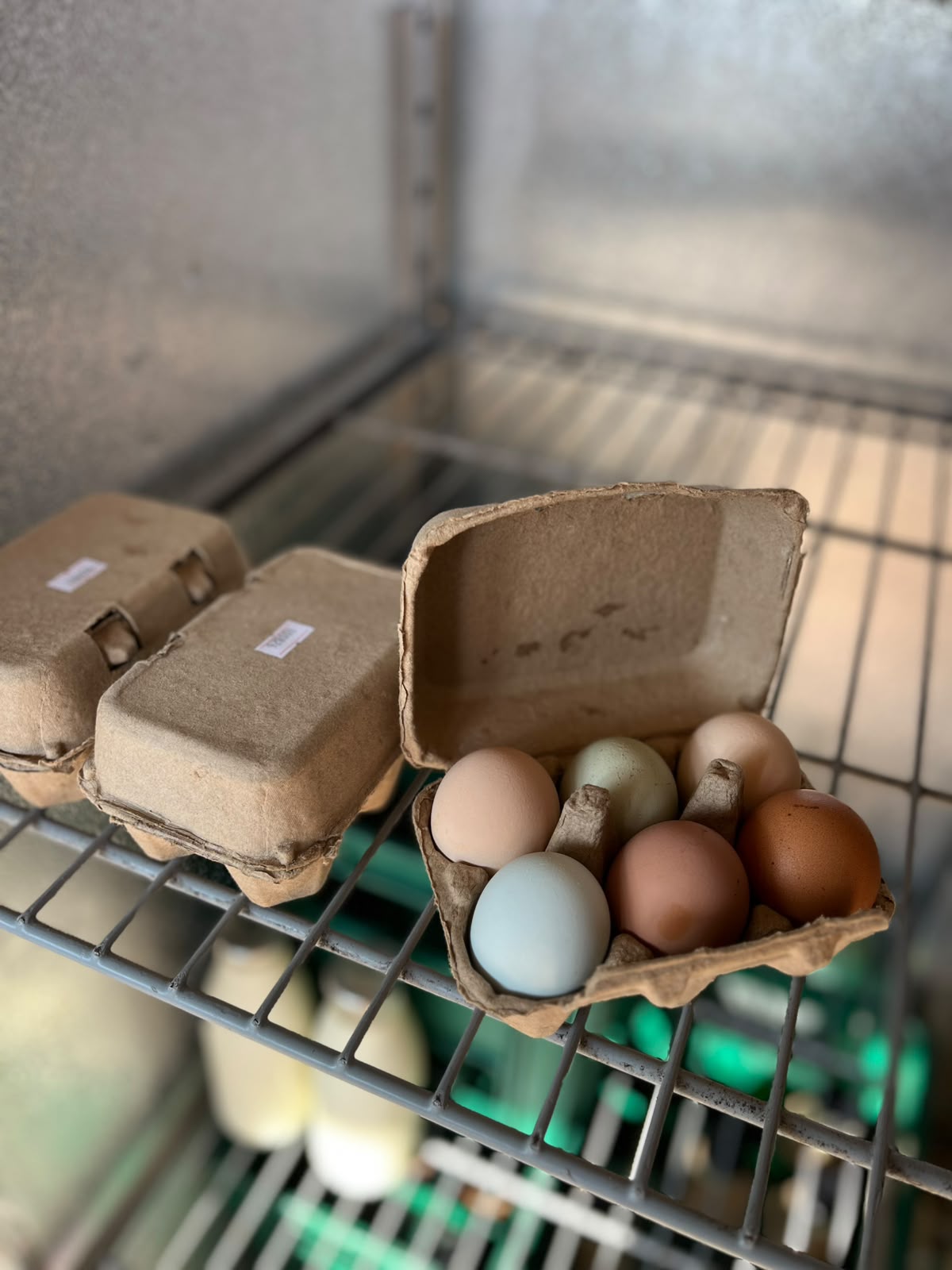 Eggs